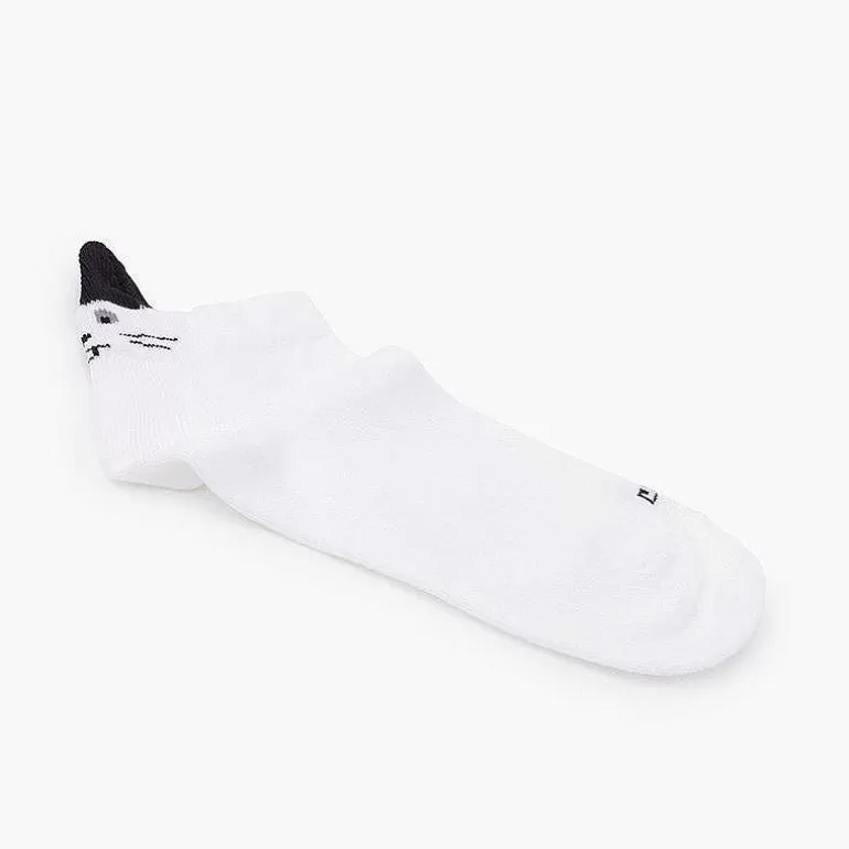 Flash Sale Pisamonas Calcetines Invisibles Orejas Conejito